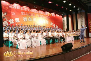 龍馬潭區舉辦“新社會組織 時代新風采”專場文藝演出暨文化藝術交流活動